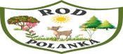 logo polanki