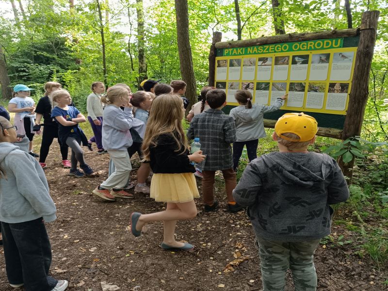 Plansze edukacyjne